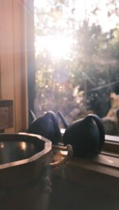 ДЛЯ КОМПАНИИ