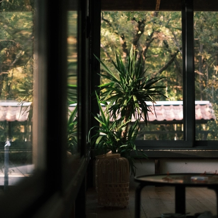 Спа-ритуалы для глубокого расслабления и восстановления