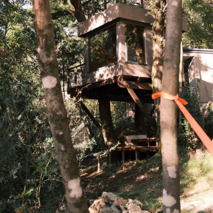 Ритуалы красоты и исцеления. Баланс тела и духа